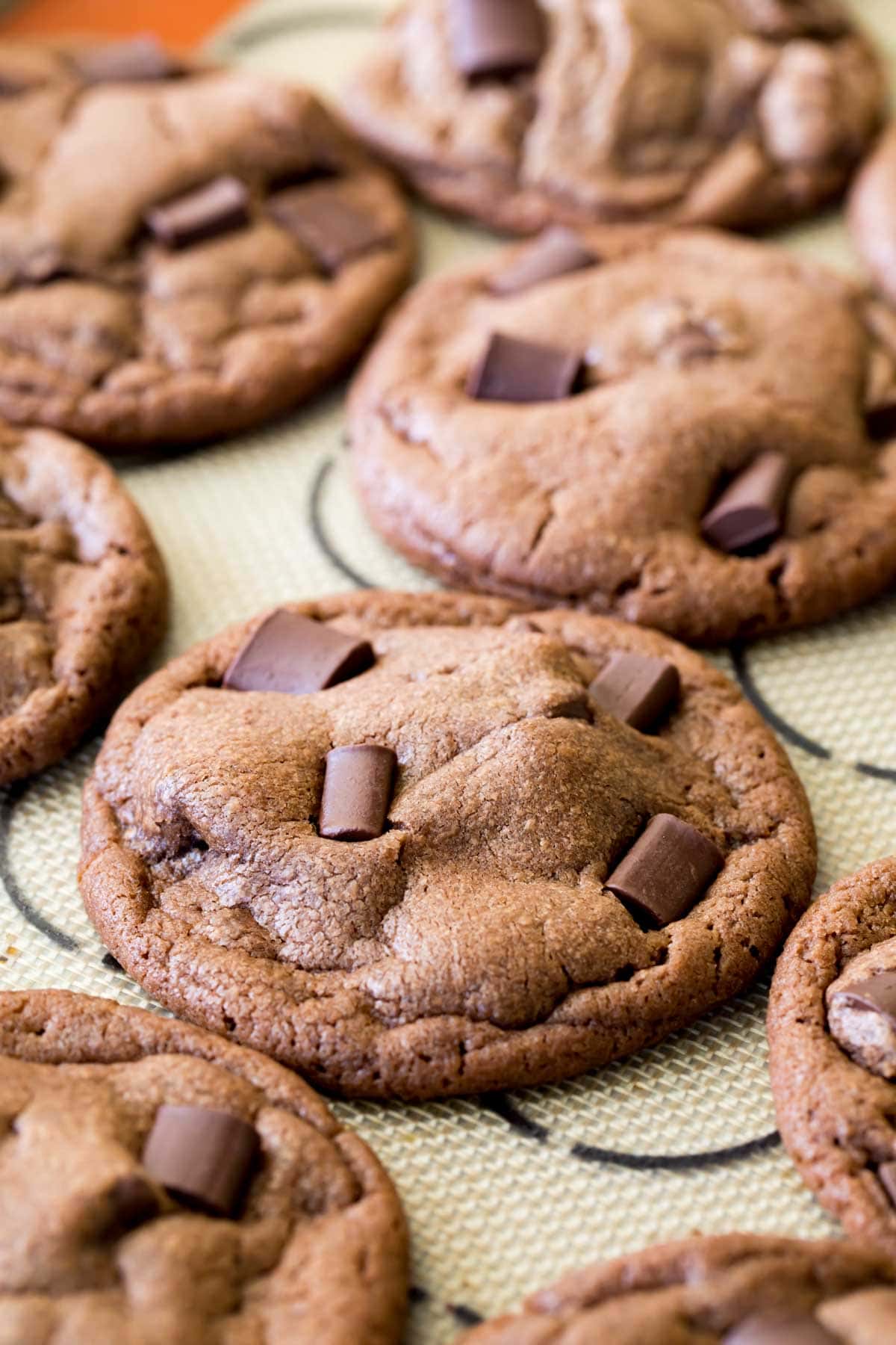 Close-up shot of chocolate cookies on a cookie sheet after baking.