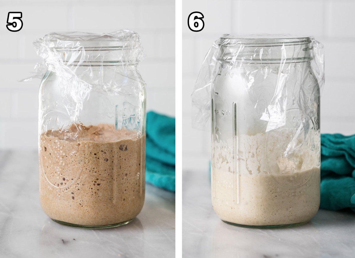 Images of step 5 and 6 of making sourdough starter