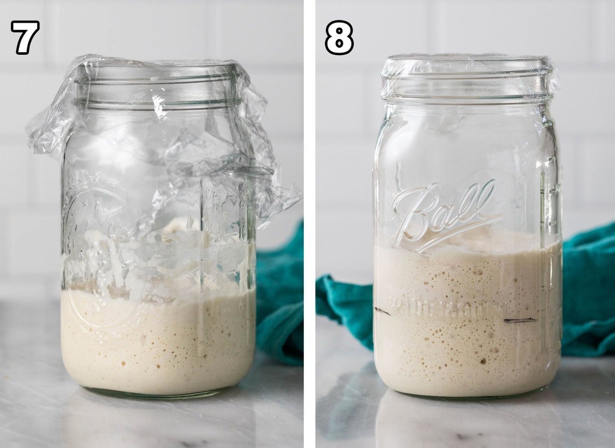 Images of step 7 and 8 of making sourdough starter