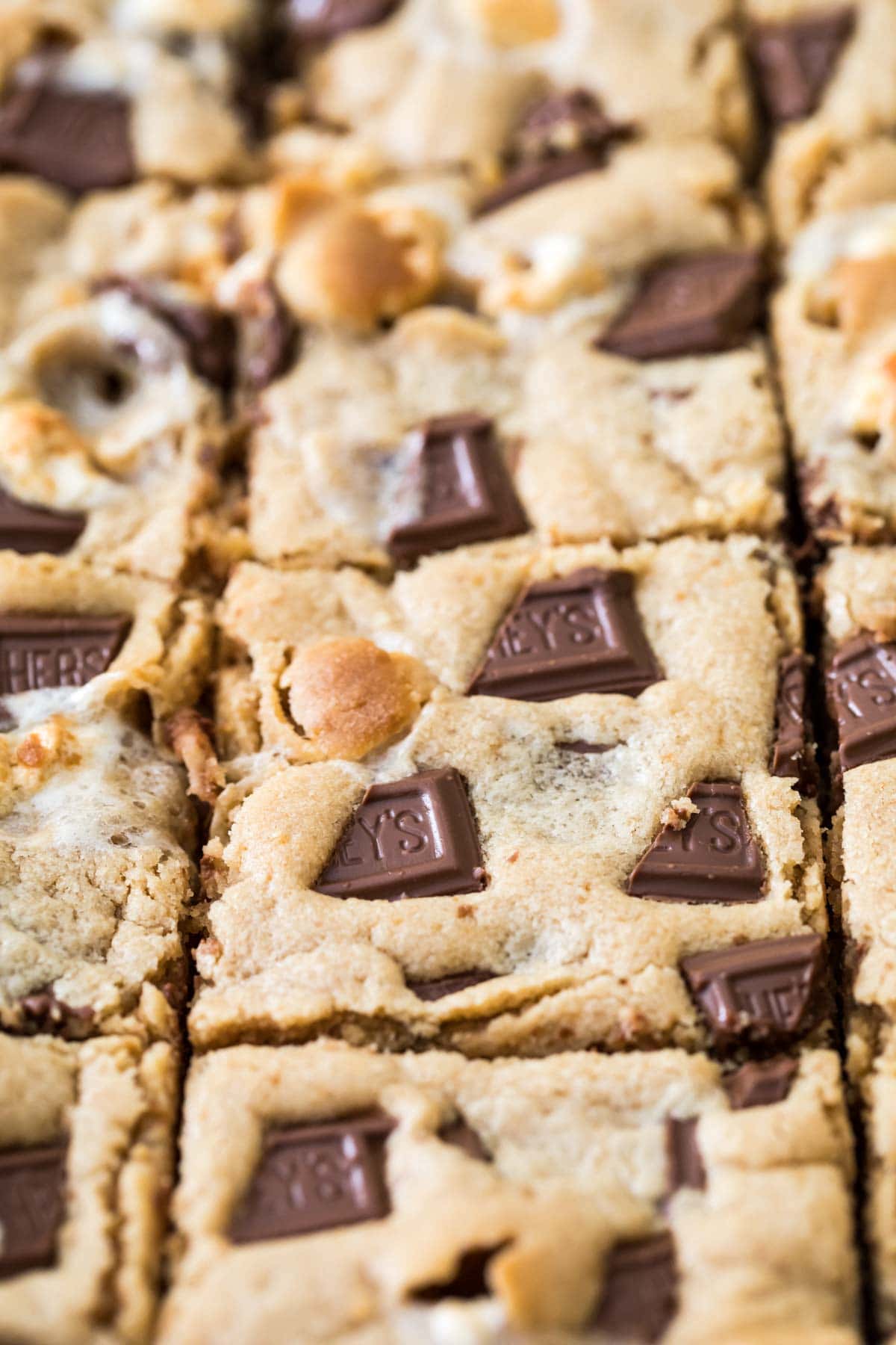Close-up view of peanut butter s'mores bars just after being cut.