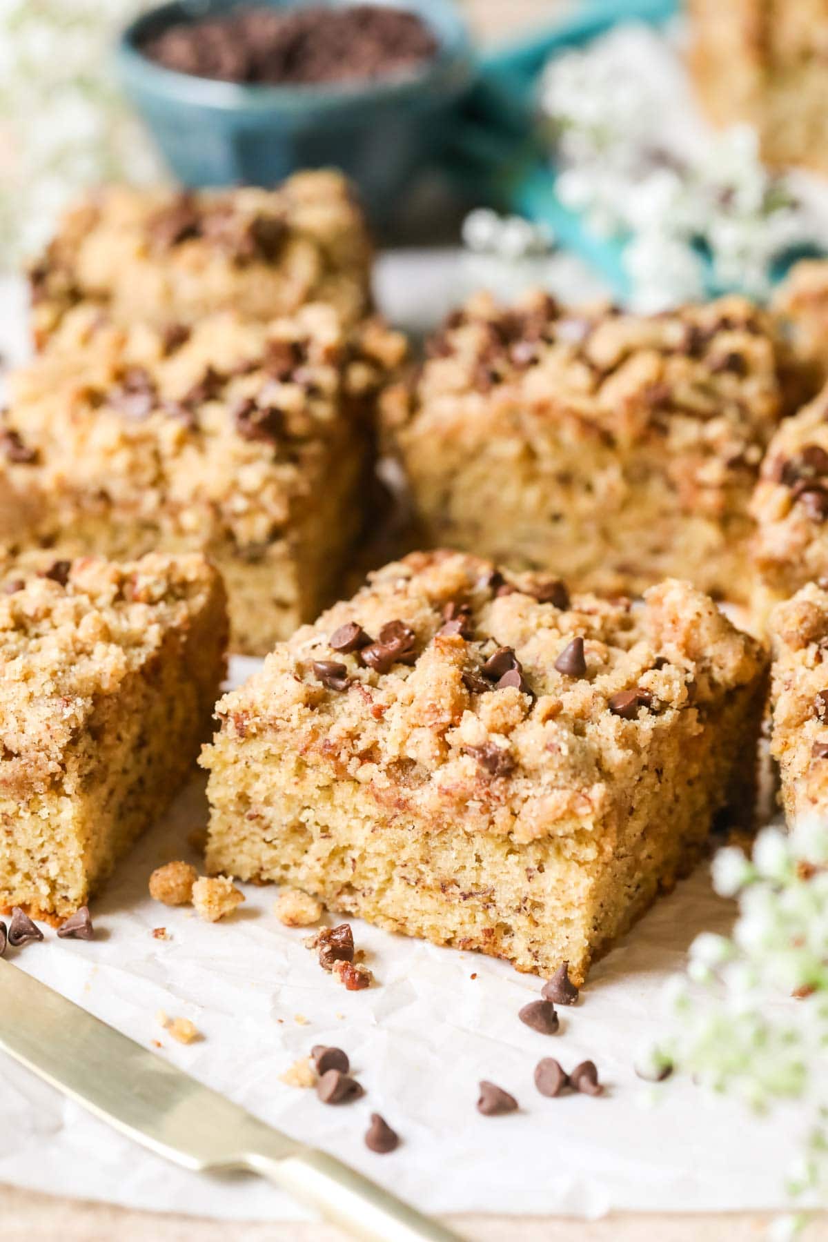 Streusel and chocolate chip topped pieces of coffee cake surrounded by mini chocolate chips.