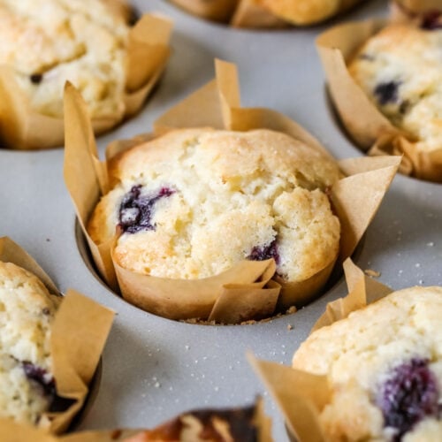 Sourdough blueberry muffins in parchment liners in a baking pan.