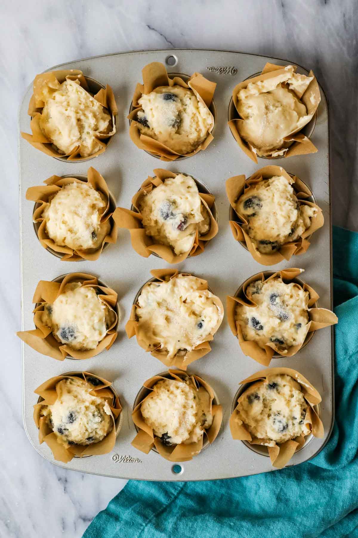 Overhead view of a tray of blueberry muffins in parchment liners before baking.