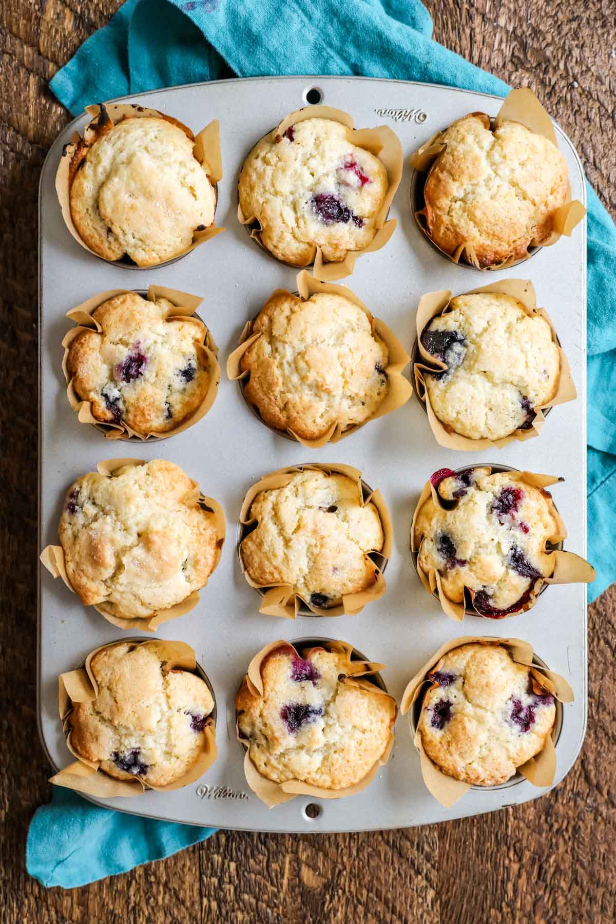 Scone and Muffin Scoop in 2023  Baking scones, Scones, Blue berry muffins