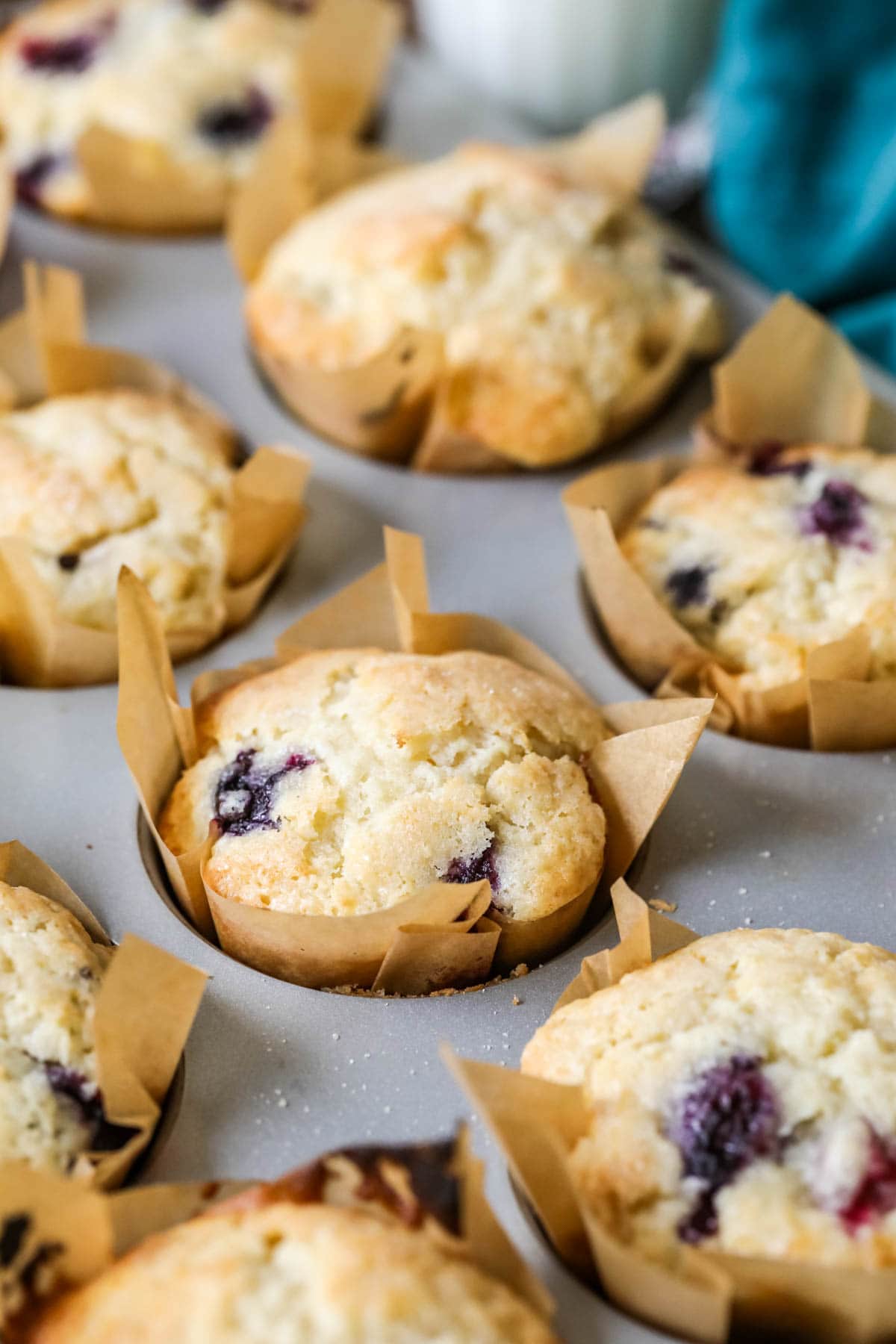 Sourdough blueberry muffins in parchment liners in a baking pan.