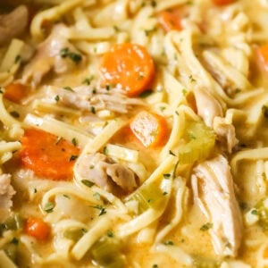 Close-up shot of a pot of creamy chicken noodle soup.