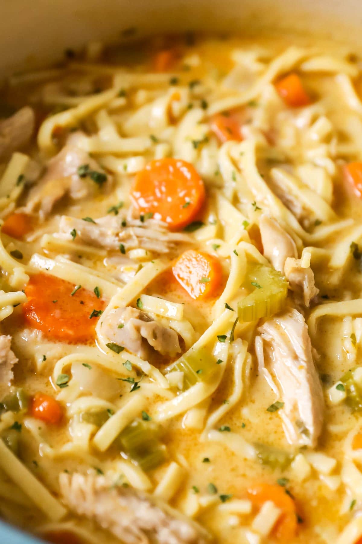 Close-up shot of a pot of creamy chicken noodle soup.