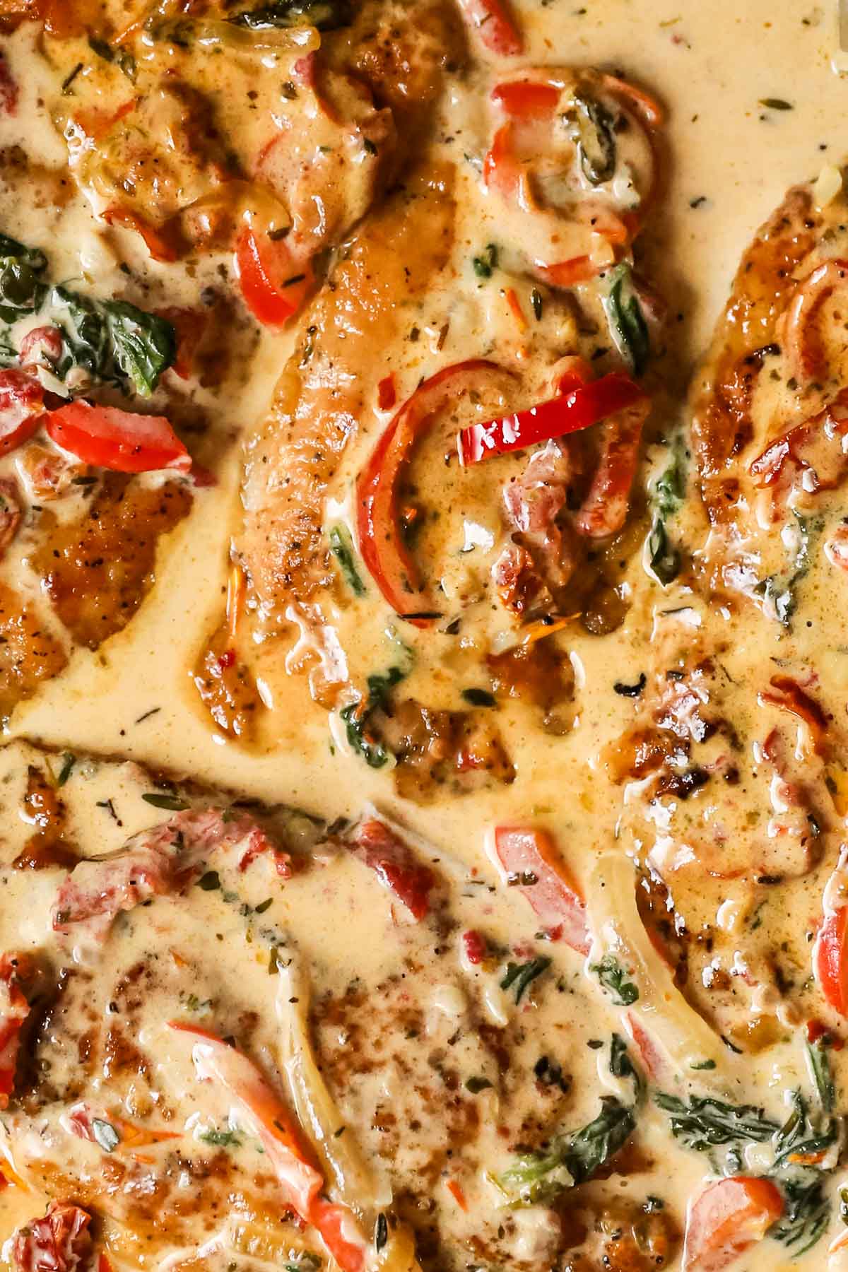 Close-up view of seared chicken in a cream sauce made with red peppers, spinach, and sun dried tomatoes.