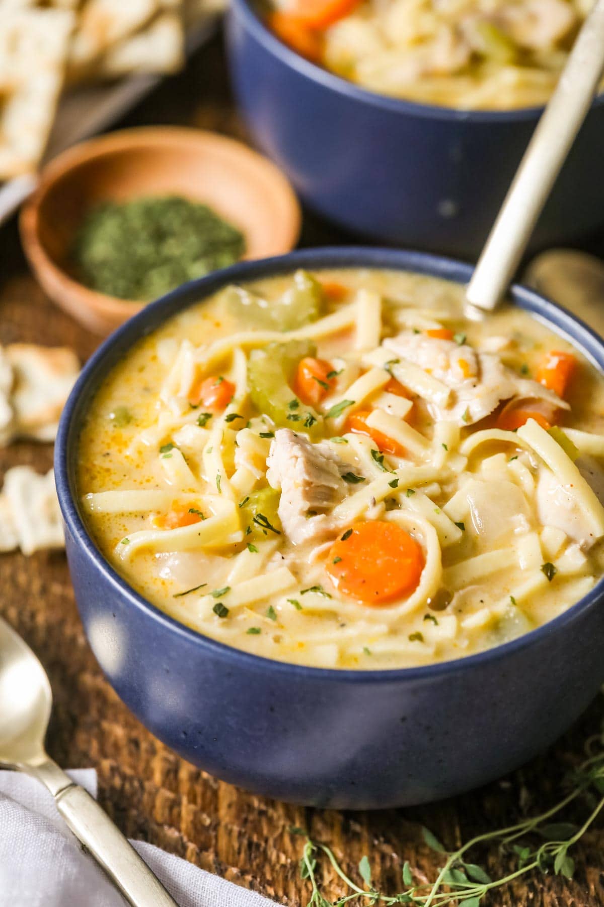 Creamy Chicken Noodle Soup - Together as Family