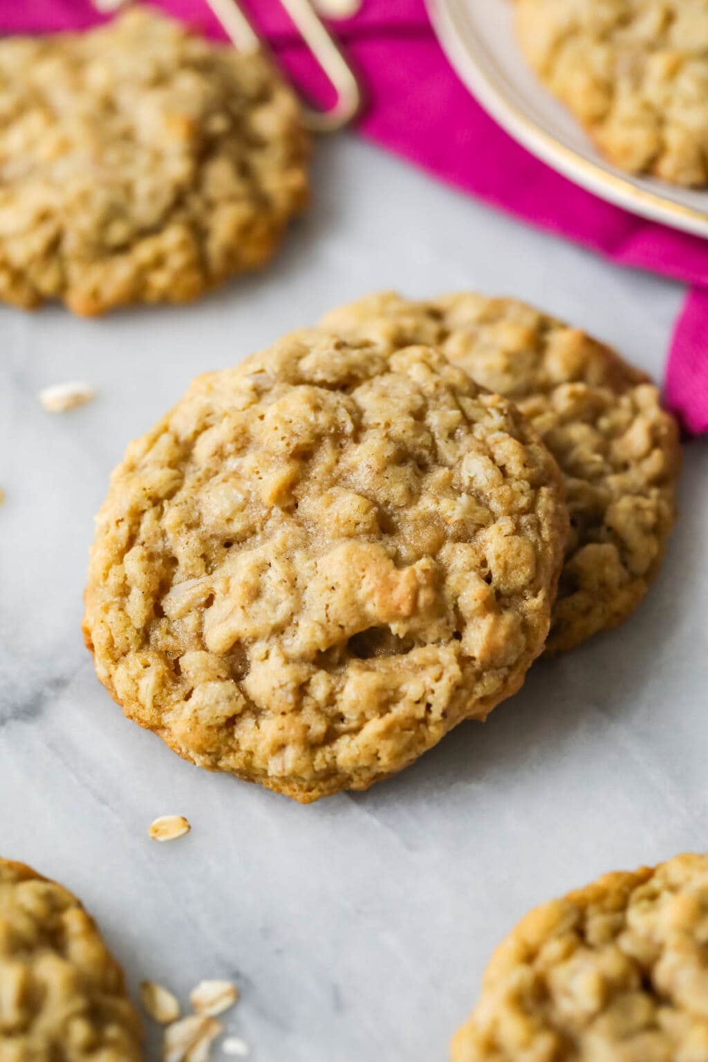 Oatmeal Cookies Sugar Spun Run