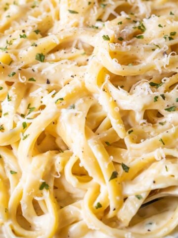 Close up view of fettuccine pasta tossed in alfredo sauce and topped with parmesan cheese and parsley.