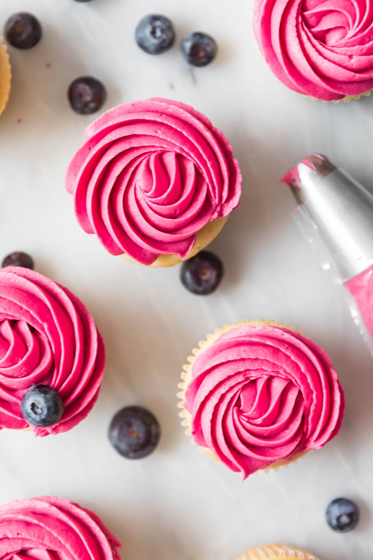 Overhead view of cupcakes frosted with piped blueberry frosting rosettes.