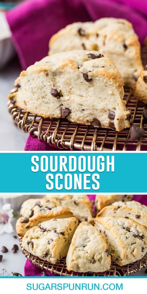 sourdough scones collage, top image is a close up of single scone, bottom image of mutliple scones cut and neatly placed in circle