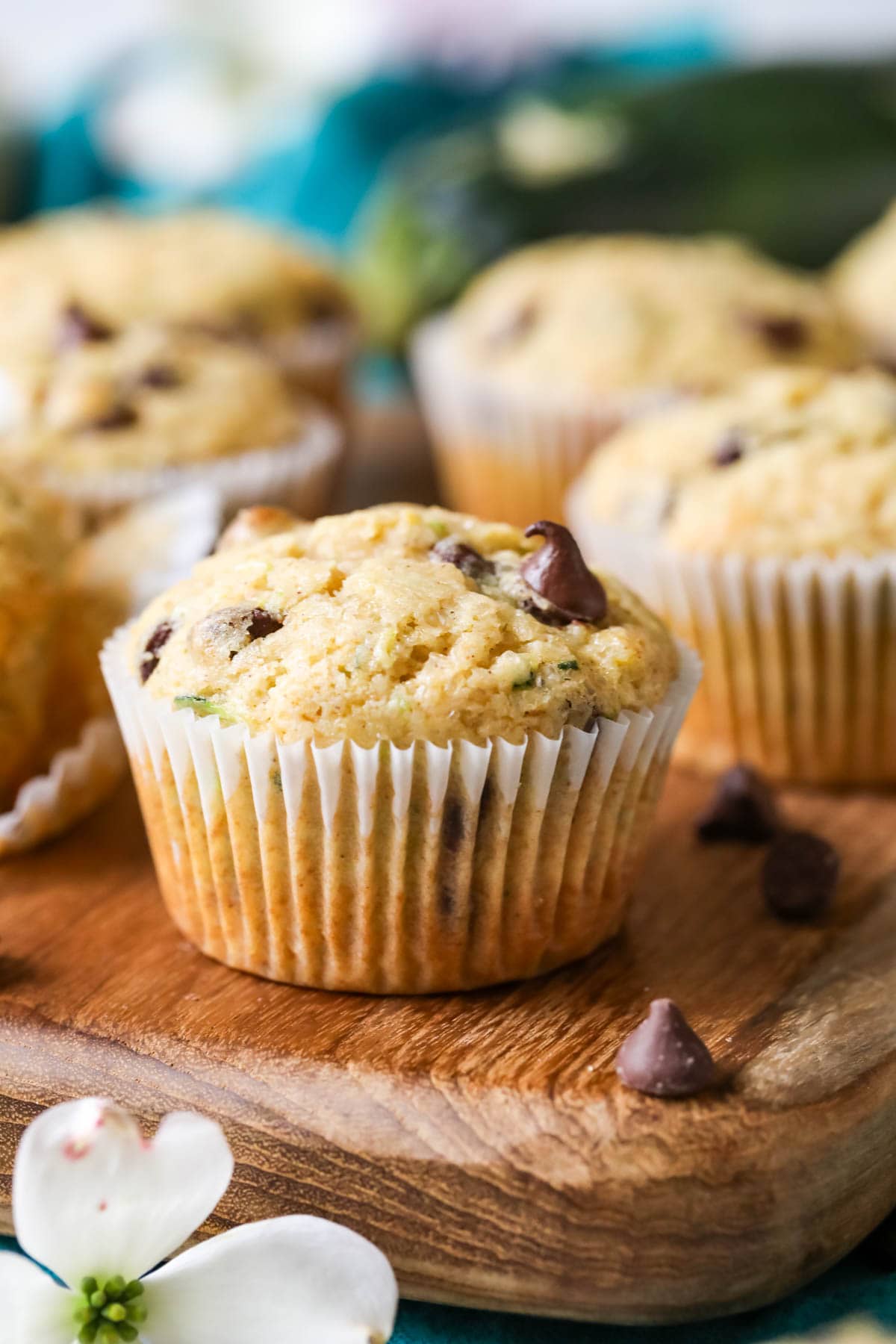 Close-up view of a chocolate chip zucchini muffin.