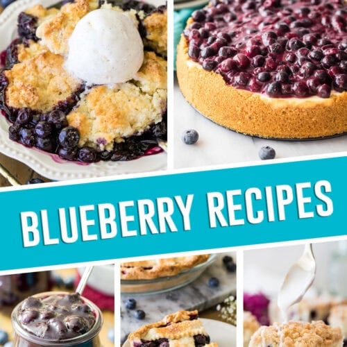 collage of blueberry recipes