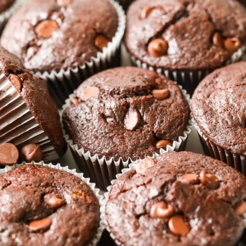 Close-up view of chocolate sourdough muffins topped with chocolate chips.