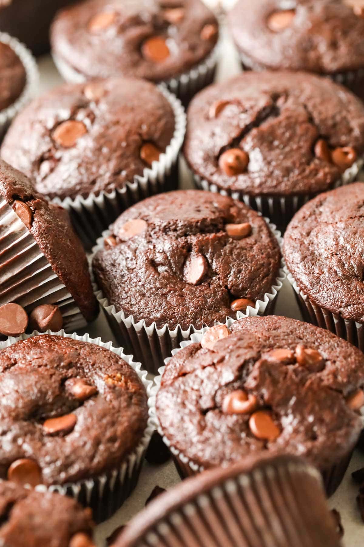 Close-up view of chocolate sourdough muffins topped with chocolate chips.