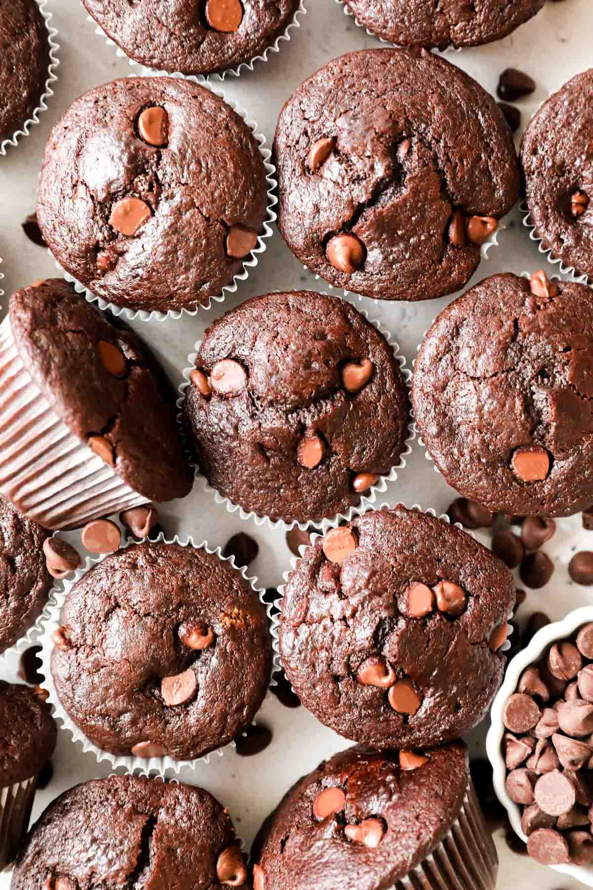 Overhead view of chocolate muffins made with sourdough discard.