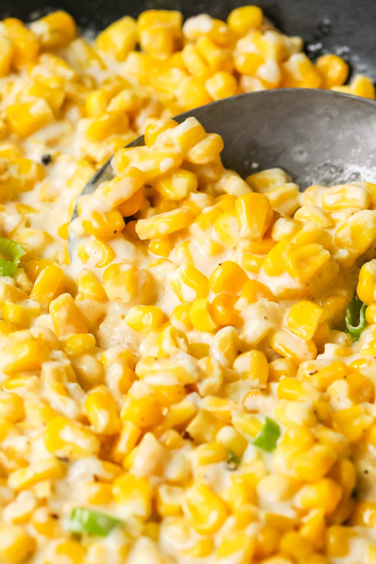 Close-up view of corn in a creamy sauce topped with scallions.