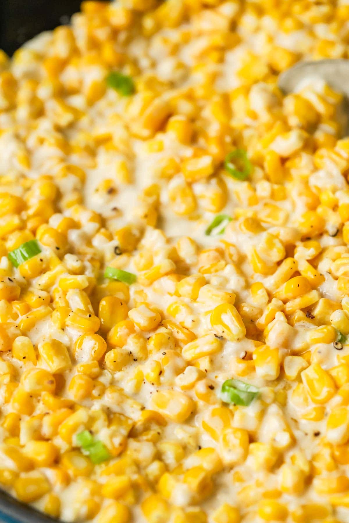 Close-up view of corn in a creamy sauce topped with scallions.