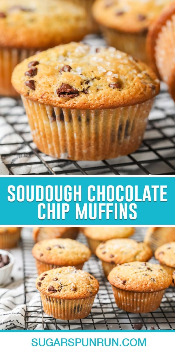 Collage of Sourdough Chocolate Chip Muffins, top image of single muffin, bottom image of multiple muffins on cooling rack