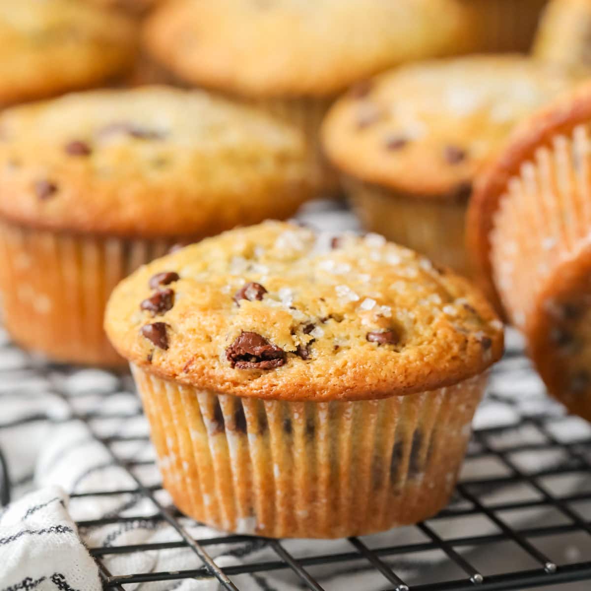 Sourdough Chocolate Chip Muffins