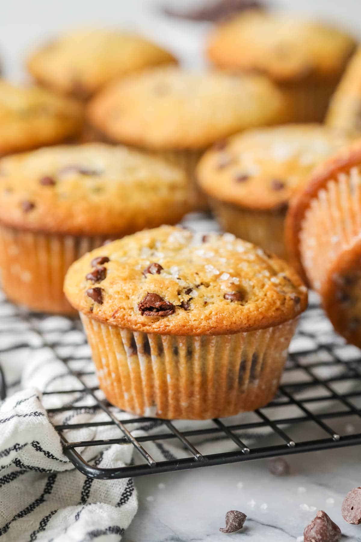 Close-up view of a sourdough chocolate chip muffin on a cooling rack.