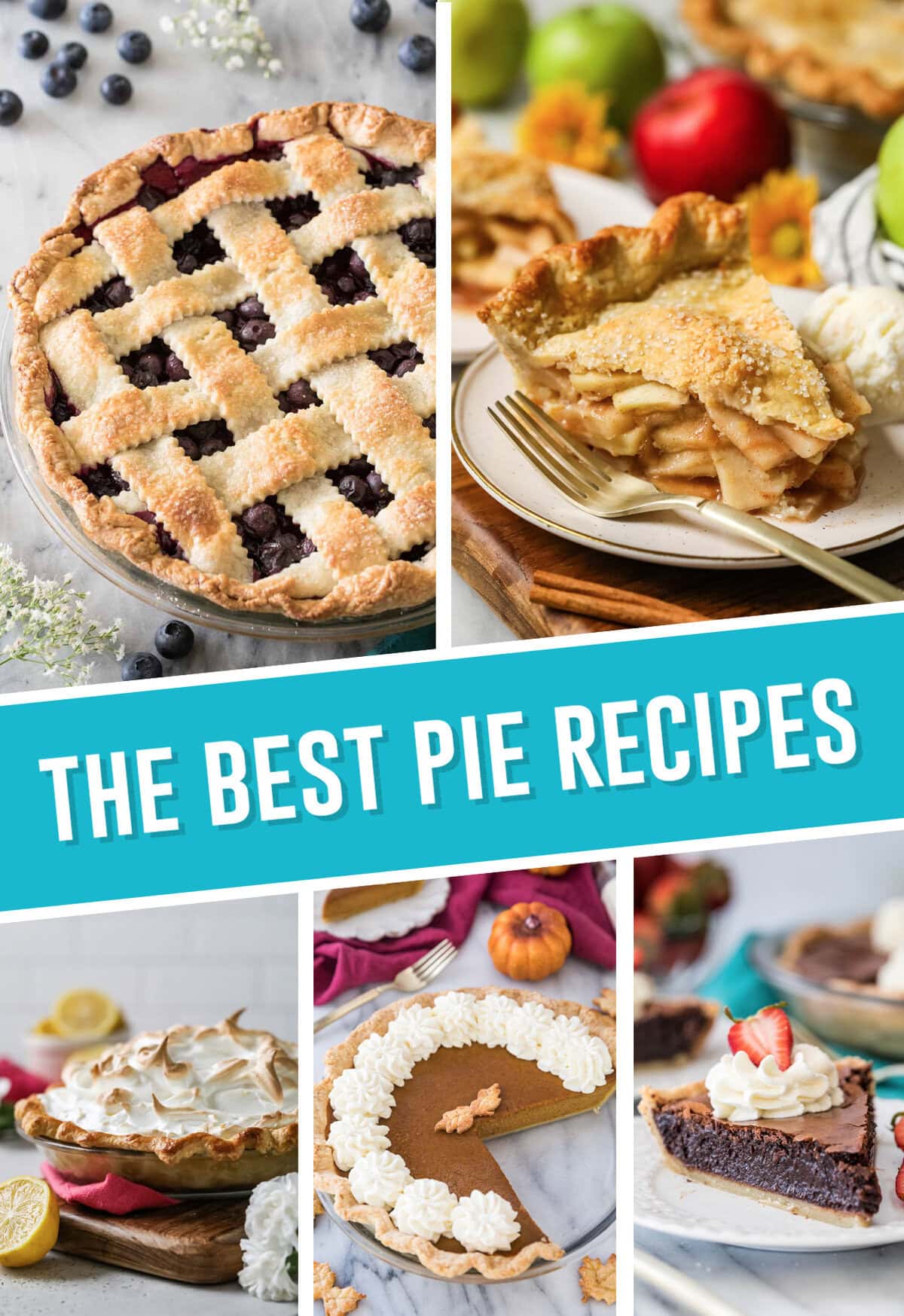 collage of the best pie recipes, collage includes five pie images