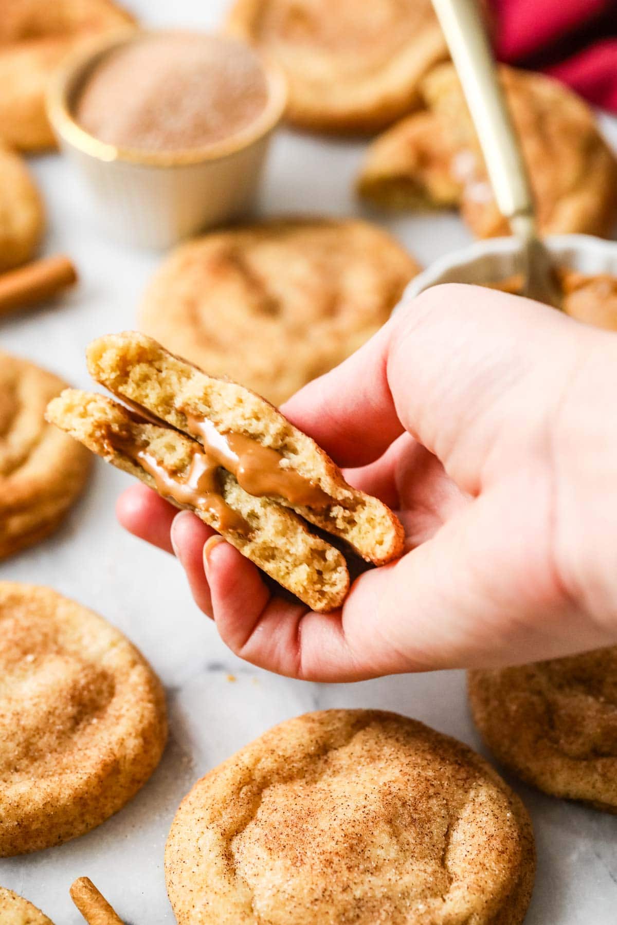 Hands holding a cookie butter stuffed snickerdoodle that's been broken in half to show its molten center.