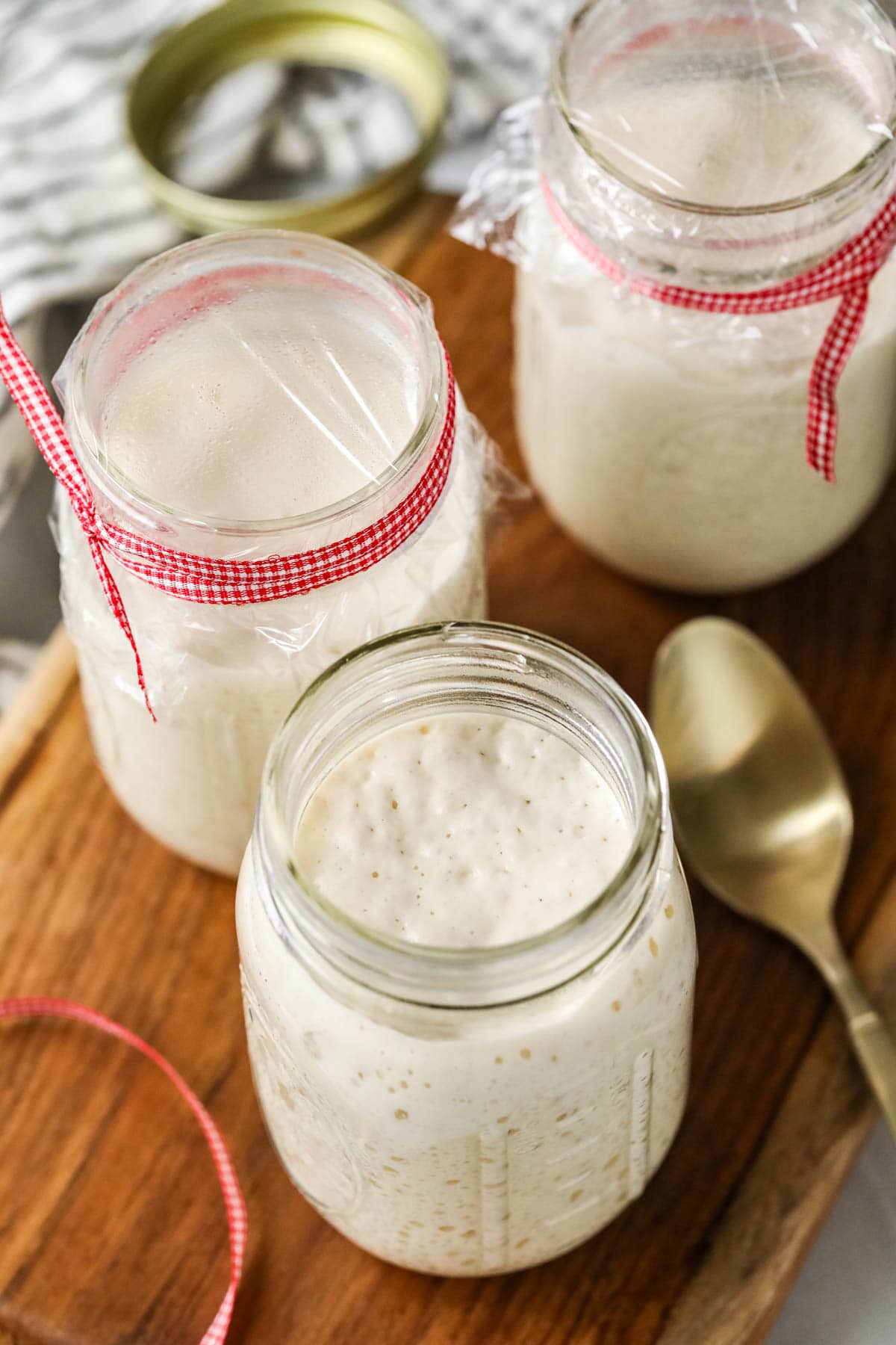 Overhead of active bubbly sourdough starter