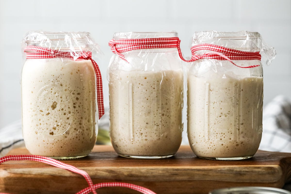 Three  jars of active bubbly sourdough starter on a wood board