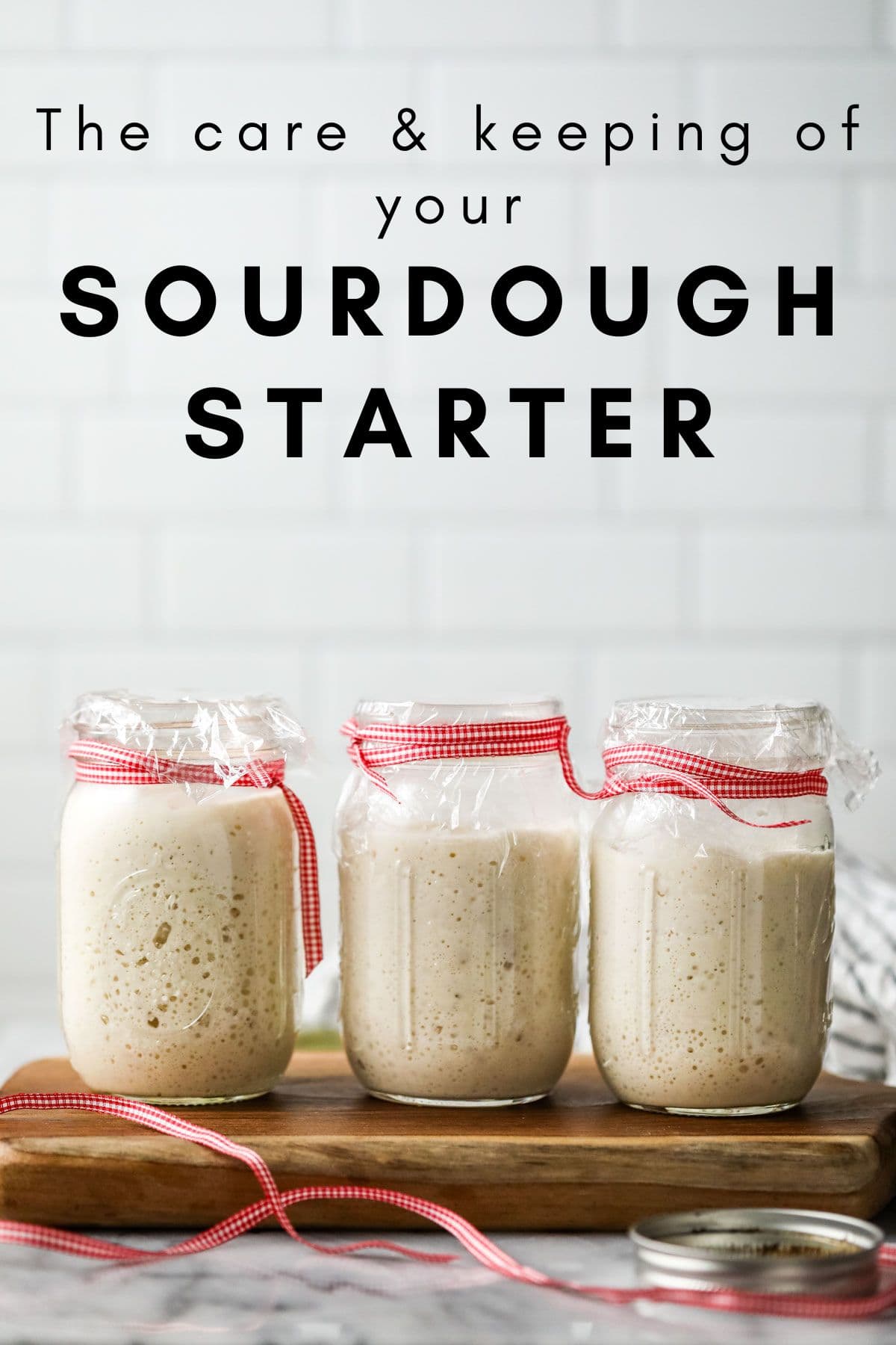 Image of 3 bubbly active sourdough starters on a wood board with white background 