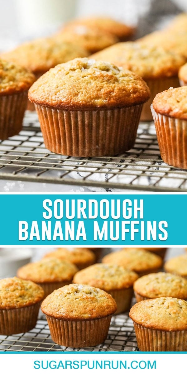 collage of sourdough banana muffins, top image of single muffin close up, bottom image of multiple muffins on cooling rack evenly spaced out