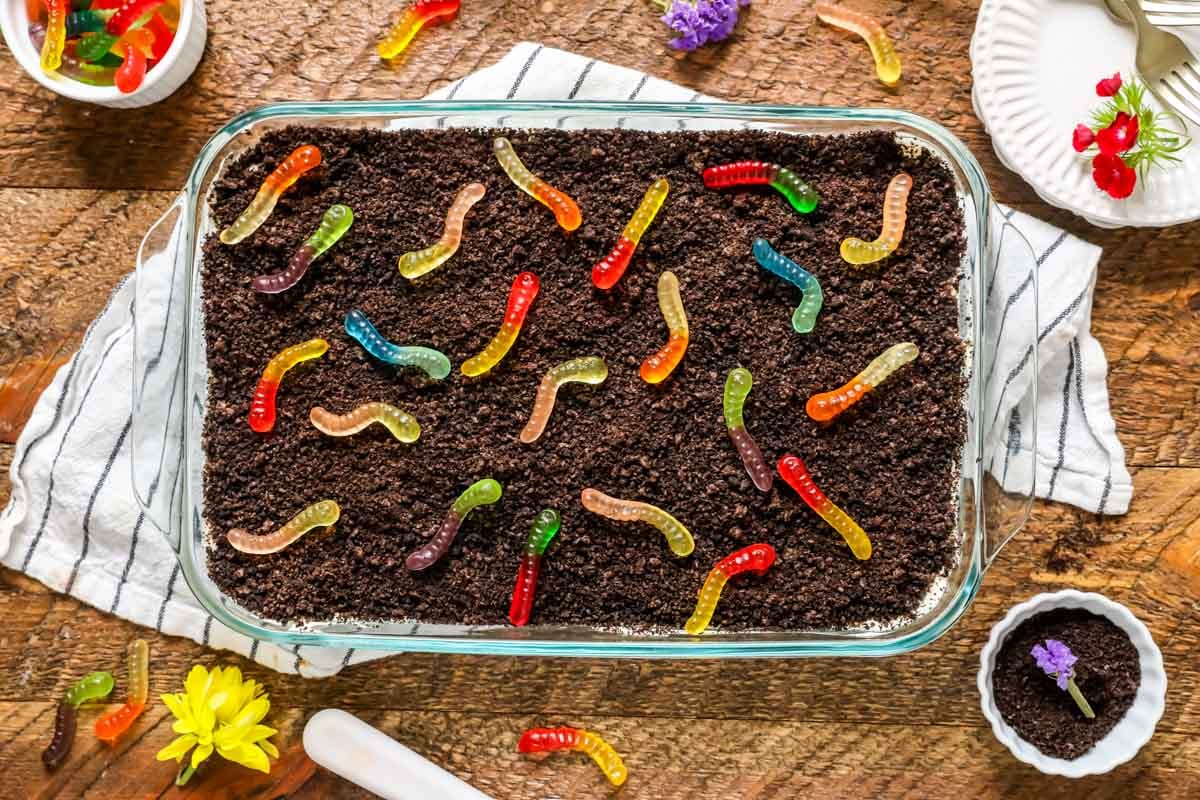 Overhead view of a cake made to look like dirt topped with colorful gummy worms.