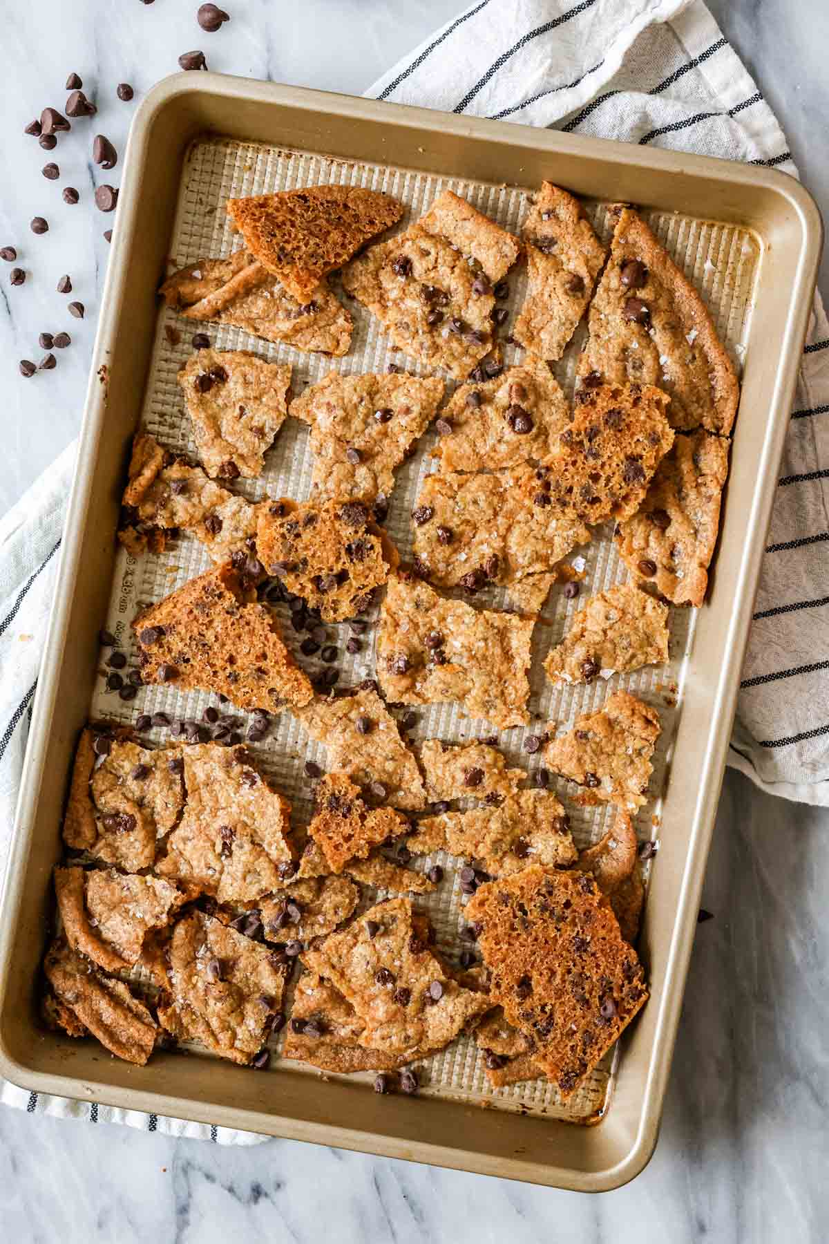 Crispy elevated landscape on baking tray.