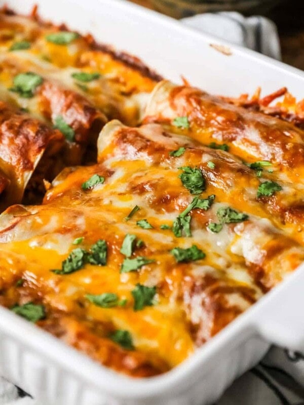 Chicken enchiladas in a white baking dish topped with chopped cilantro.
