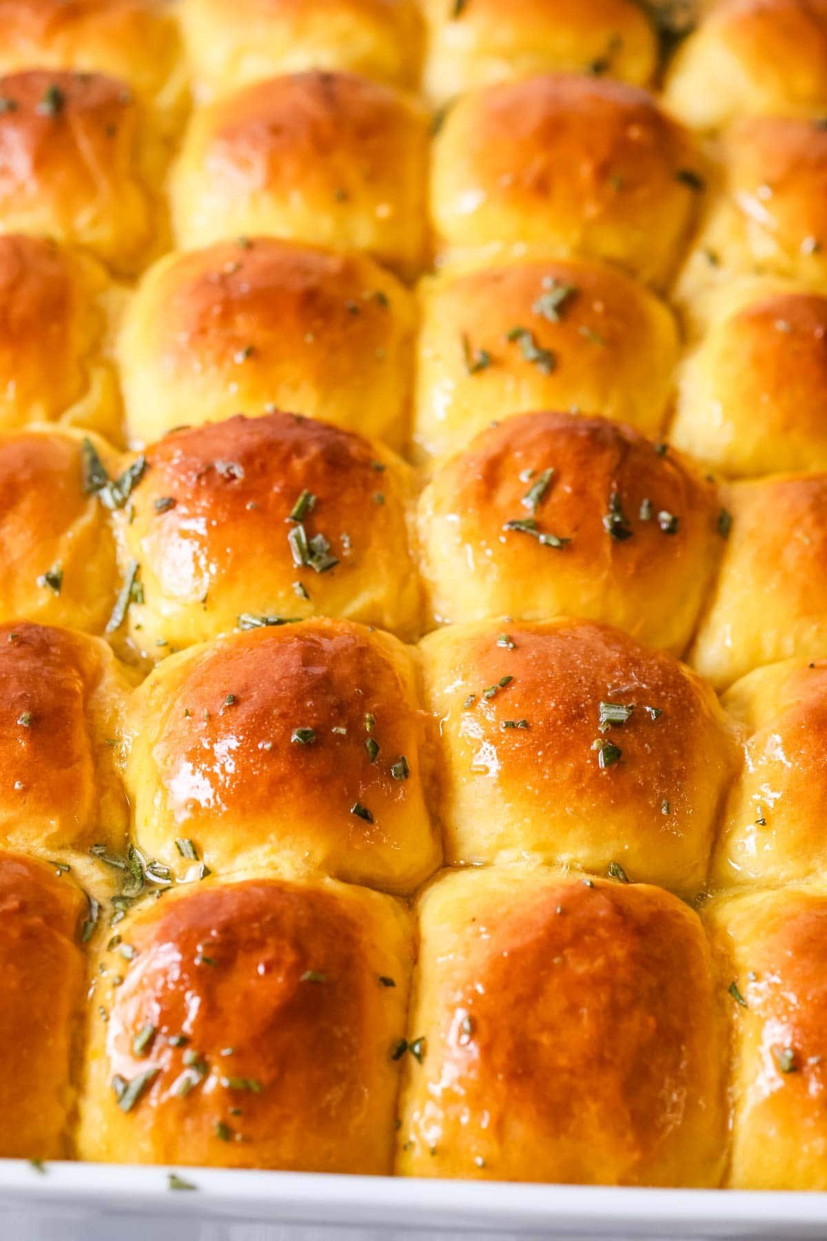 Overhead view of rows of sweet potato dinner rolls topped with a rosemary garlic butter.