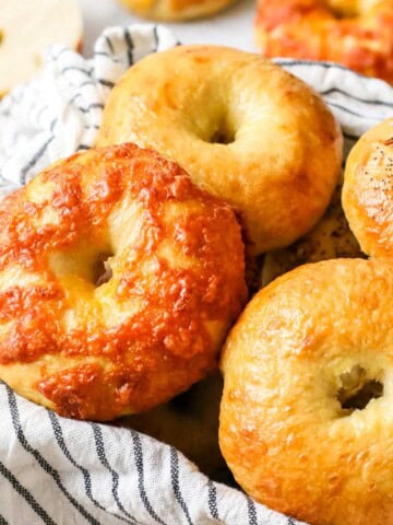 Close-up view of sourdough bagels of vary flavors, including plain, cheese, and everything.