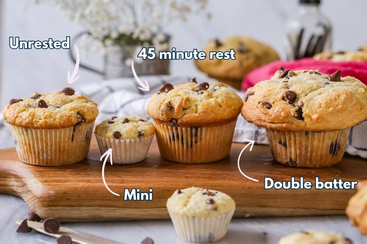 Comparison of different sized muffins all made from the same batter.