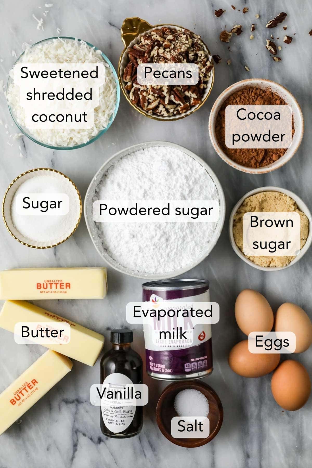 Overhead view of ingredients including cocoa powder, coconut, pecans, and more.