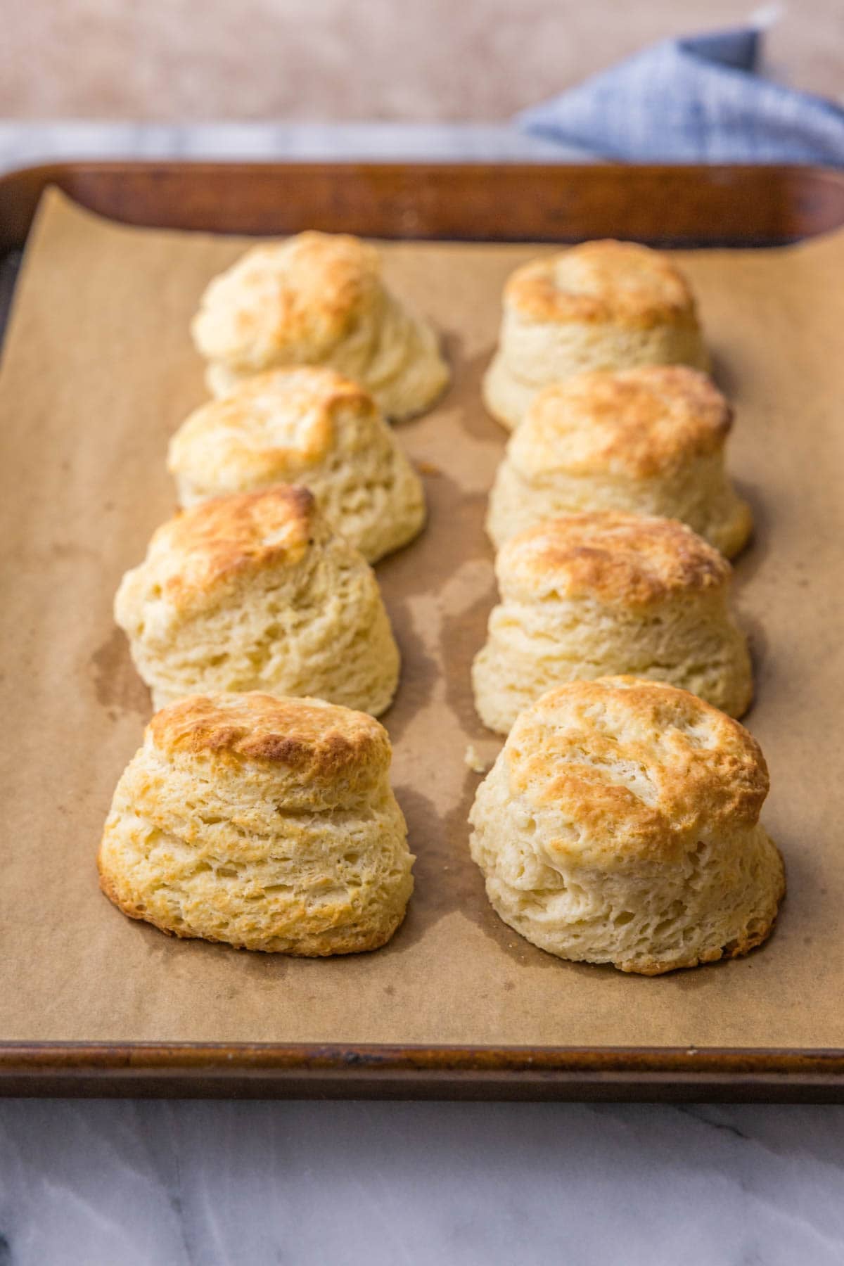 Close-up view of two rows of golden brown, flaky biscuits on a baking tray.