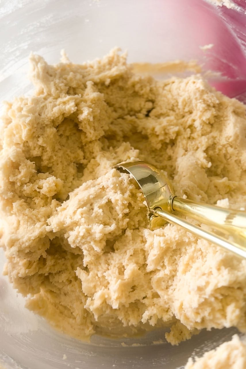 Close-up view of a vanilla cookie dough in a bowl.