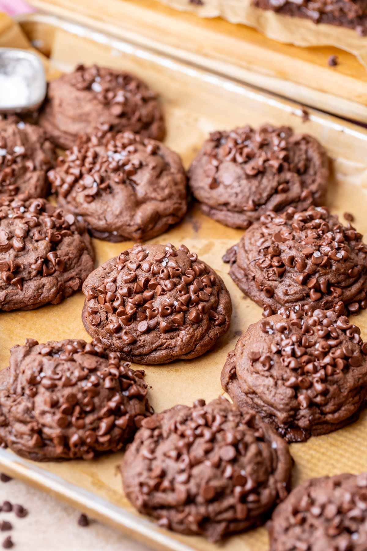 Bakery style chocolate cookies on a baking sheet.