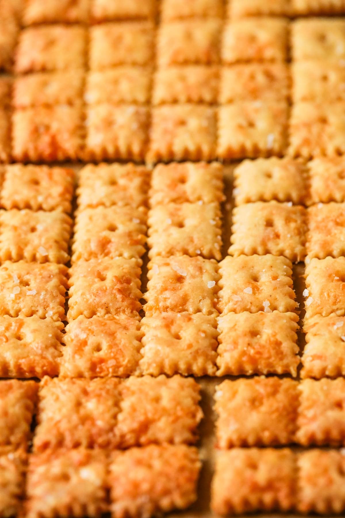 Close-up view of cheese crackers made with sourdough discard on a baking sheet after baking.