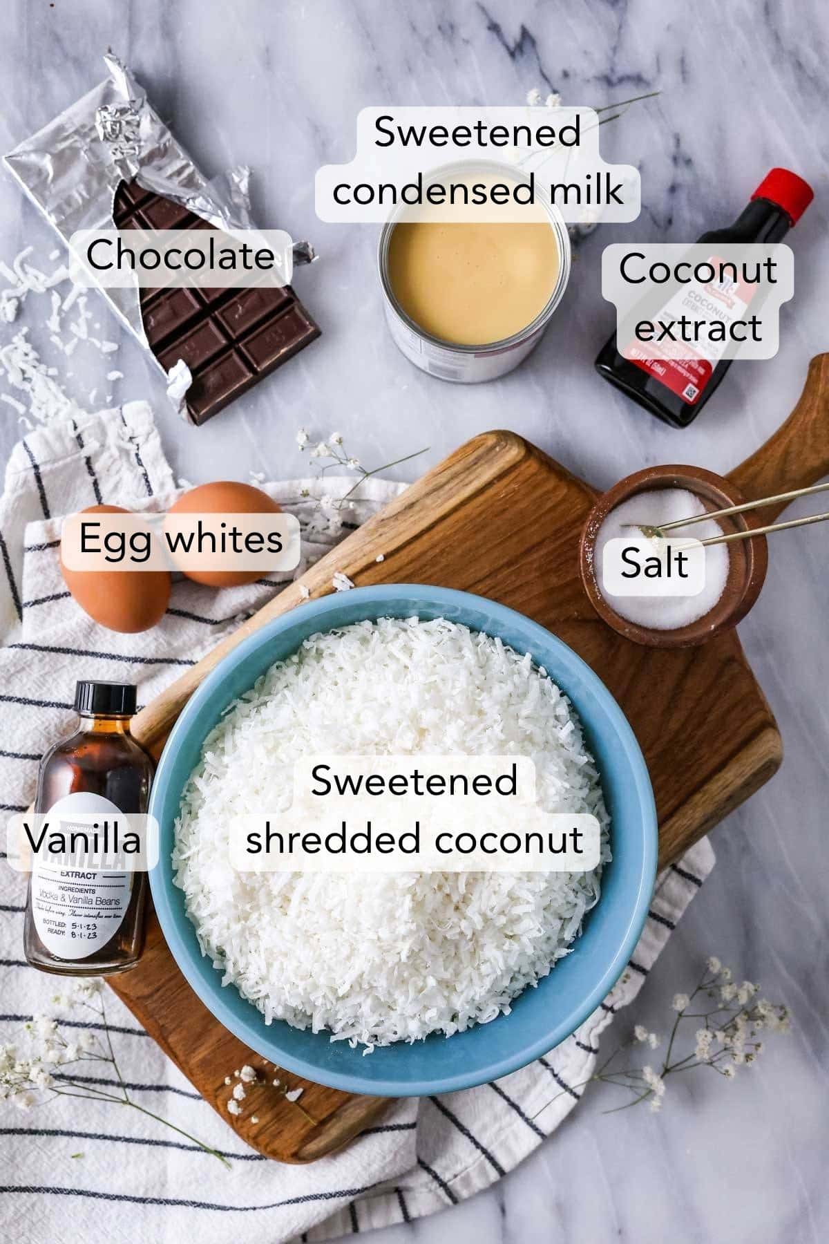 Overhead view of labeled ingredients including coconut, sweetened condensed milk, and more.
