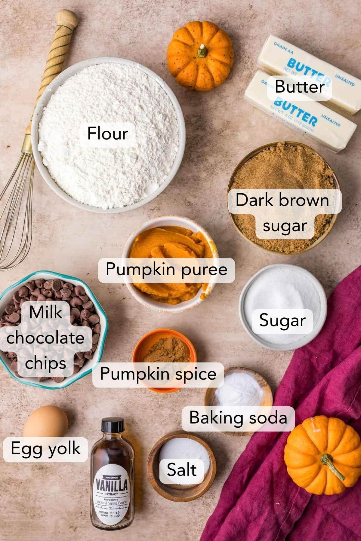 Overhead of labeled ingredients for pumpkin chocolate chip cookies.