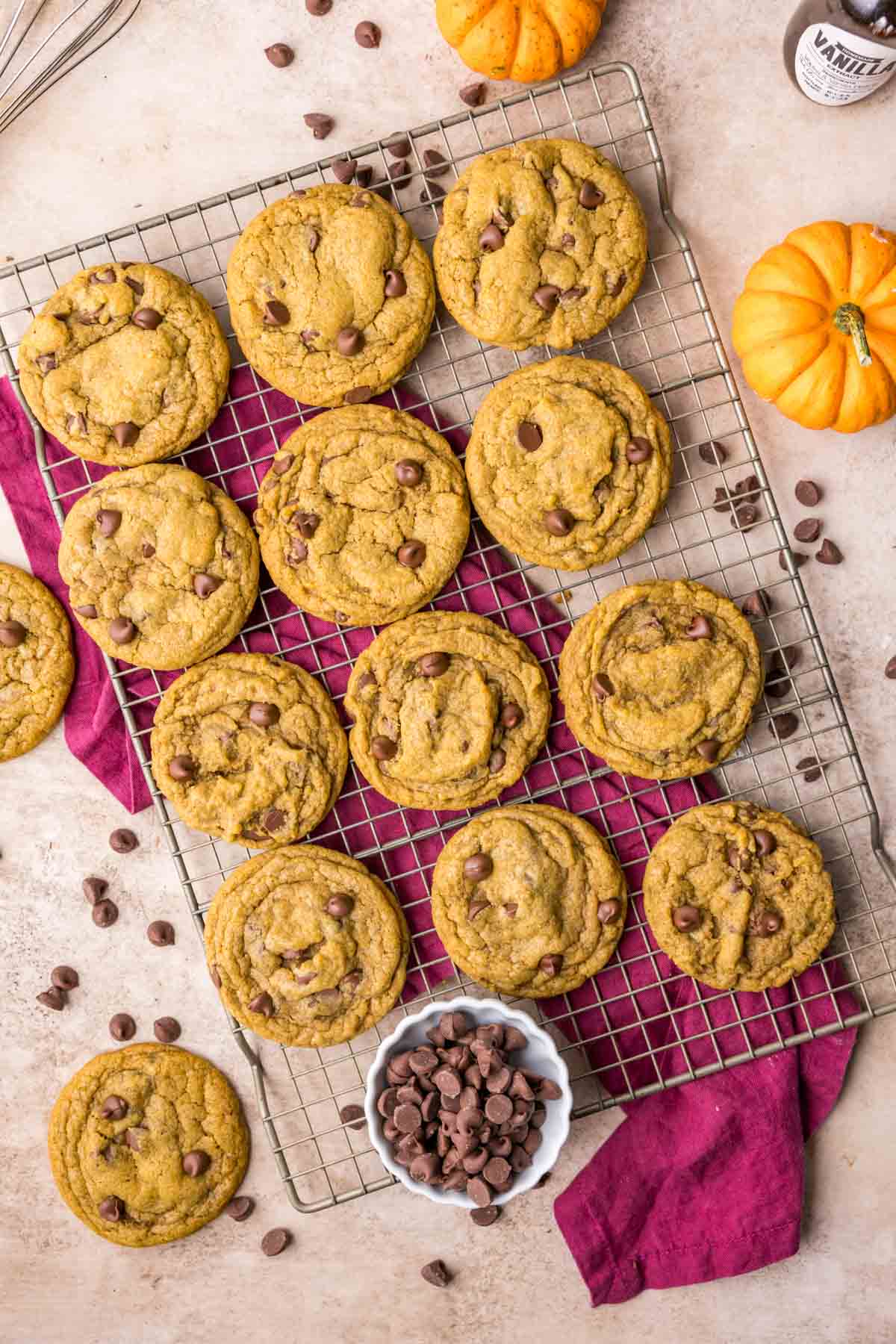 Overhead of pumpkin chocolate chip cookies on gold cooling rack.