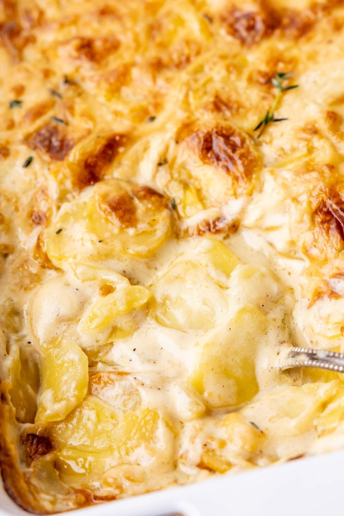 Close-up view of creamy scalloped potatoes.