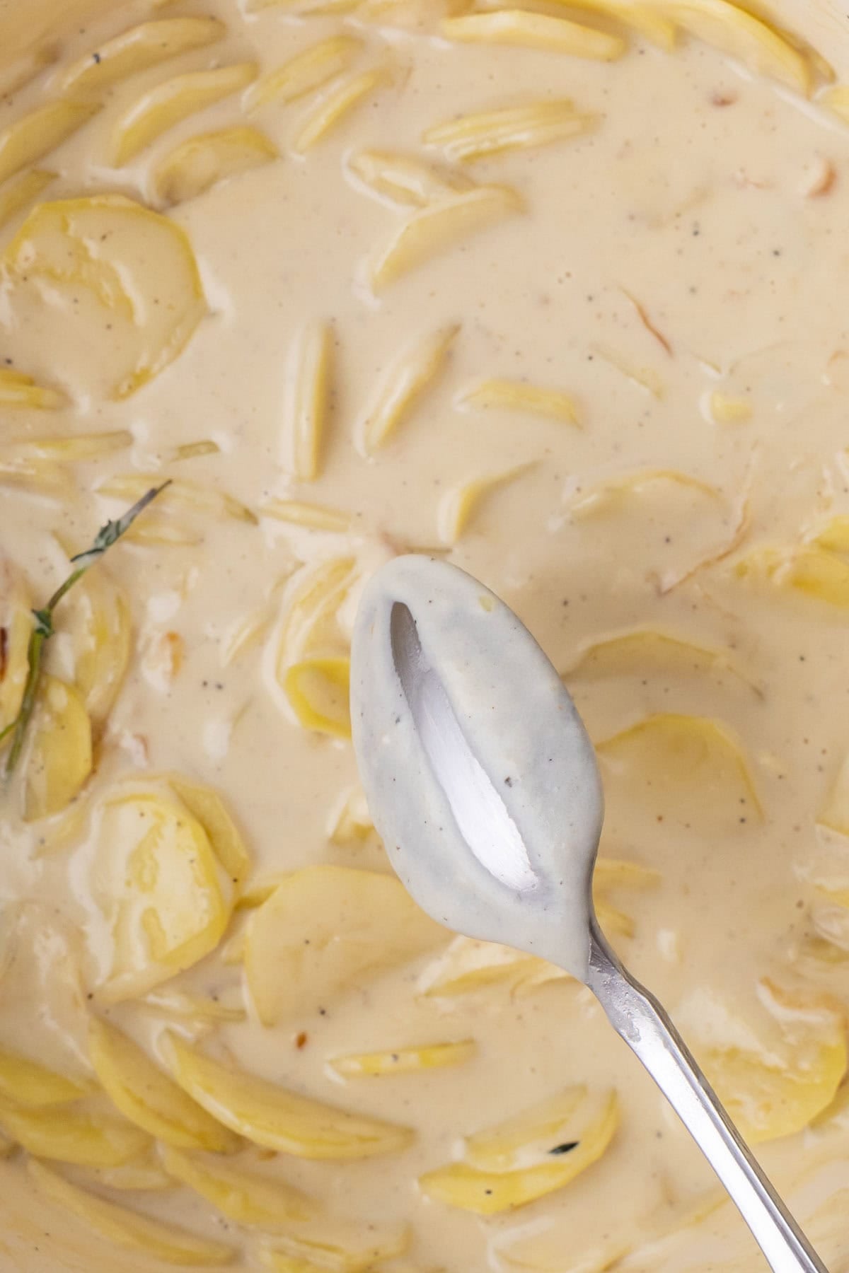 Spoon showing a thickened sauce for potatoes.