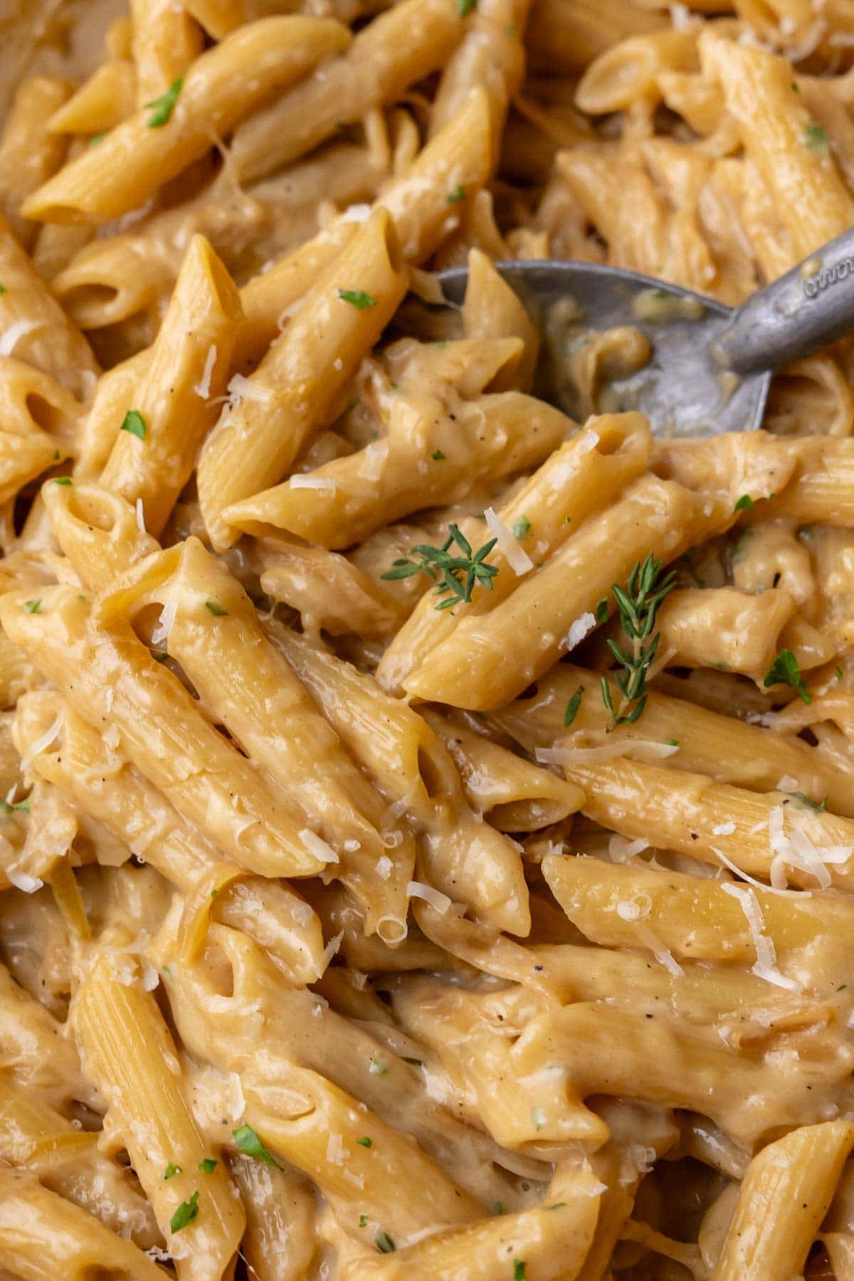 Close-up view of a creamy pasta infused with caramelized onions, white wine, thyme, and more.